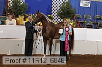 11r12_6848 thumbnail