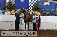 11r12_6849 thumbnail