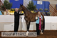 11r12_6852 thumbnail