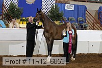 11r12_6853 thumbnail