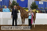 11r12_6855 thumbnail