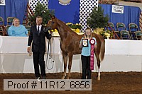11r12_6856 thumbnail