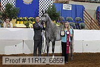 11r12_6859 thumbnail