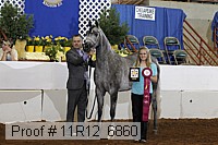 11r12_6860 thumbnail
