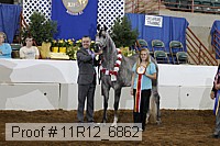 11r12_6862 thumbnail