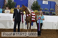 11r12_6868 thumbnail