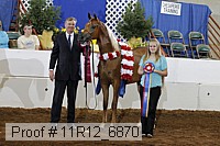 11r12_6870 thumbnail