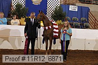 11r12_6871 thumbnail