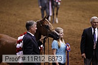 11r12_6873 thumbnail