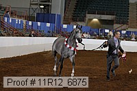 11r12_6875 thumbnail