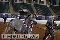 11r12_6876 thumbnail