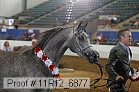 11r12_6877 thumbnail