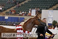 11r12_6878 thumbnail