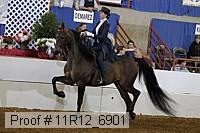 11r12_6901 thumbnail