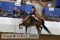 11r12_6956 thumbnail