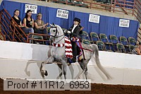 11r12_6958 thumbnail