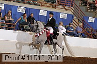 11r12_7002 thumbnail