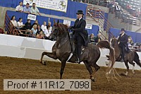 11r12_7098 thumbnail
