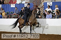 11r12_7103 thumbnail