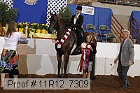 11r12_7309 thumbnail