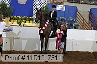 11r12_7311 thumbnail