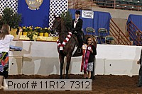 11r12_7312 thumbnail