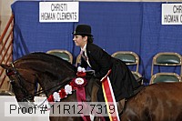 11r12_7319 thumbnail