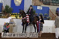 11r12_7323 thumbnail