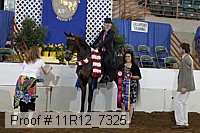11r12_7325 thumbnail