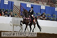 11r12_7327 thumbnail