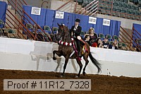 11r12_7328 thumbnail