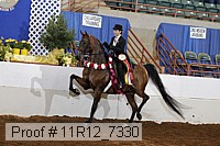 11r12_7330 thumbnail