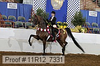11r12_7331 thumbnail