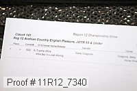 11r12_7340 thumbnail