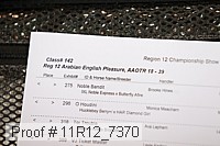 11r12_7370 thumbnail