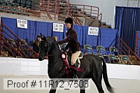 11r12_7503 thumbnail