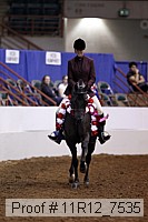 11r12_7535 thumbnail