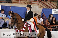 11r12_7617 thumbnail
