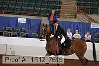 11r12_7619 thumbnail