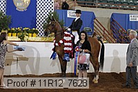 11r12_7628 thumbnail