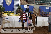 11r12_7629 thumbnail