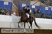 11r12_7636 thumbnail
