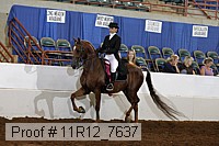 11r12_7637 thumbnail