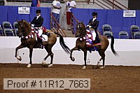 11r12_7663 thumbnail