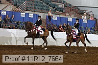 11r12_7664 thumbnail