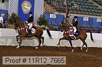 11r12_7665 thumbnail