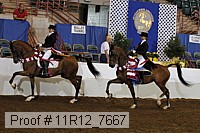 11r12_7667 thumbnail