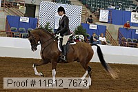 11r12_7673 thumbnail