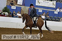 11r12_7676 thumbnail
