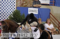 11r12_7737 thumbnail